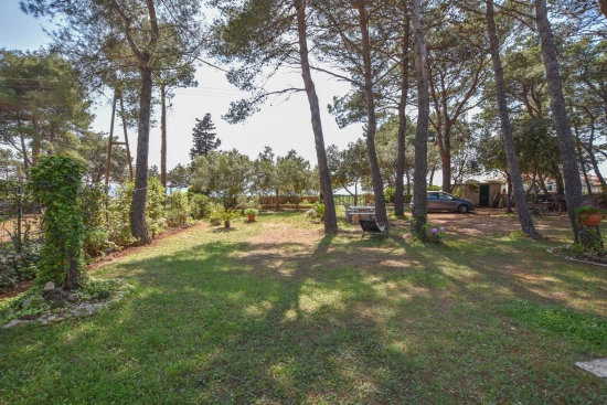 Apartmán Ostrov Dugi otok - Veli Rat OS 9162 N1