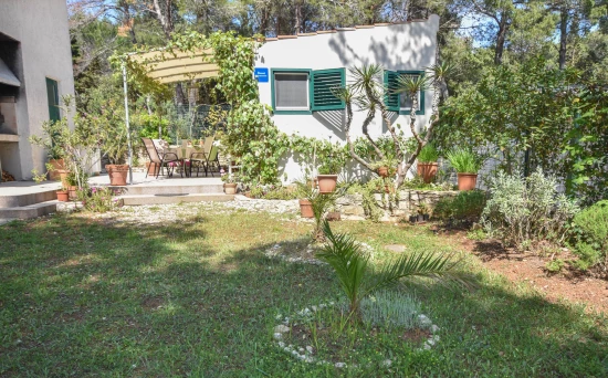 Apartmán Ostrov Dugi otok - Veli Rat OS 9162 N1