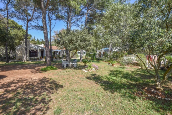 Apartmán Ostrov Dugi otok - Veli Rat OS 9162 N1