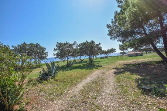 Apartmán Ostrov Dugi otok - Veli Rat OS 9162 N1