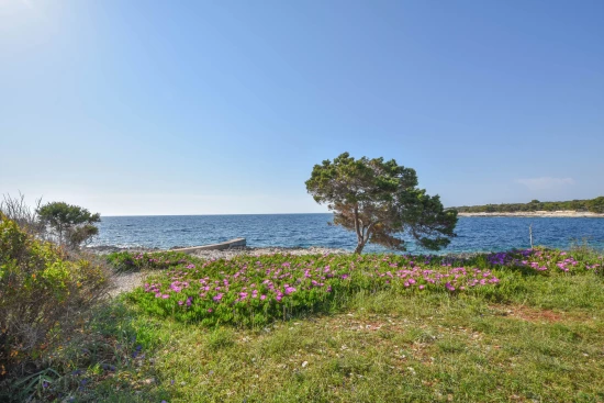 Apartmán Ostrov Dugi otok - Veli Rat OS 9162 N1