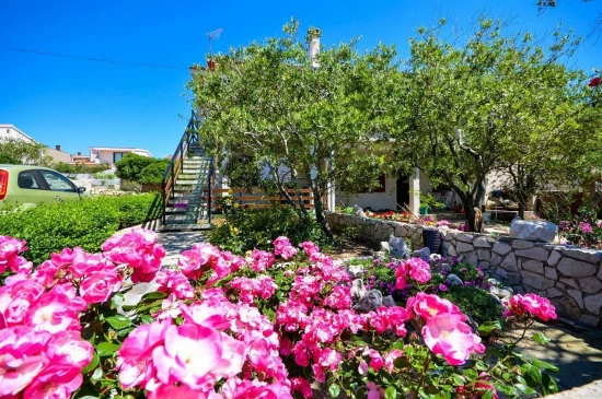 Apartmán Ostrov Pag - Povljana OS 9175 N2