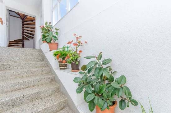 Apartmán Severní Dalmácie - Starigrad Paklenica DA 7145 N2