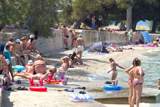 Apartmán Severní Dalmácie - Bibinje DA 7145 N6