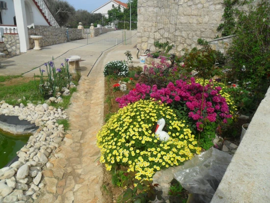 Apartmán Ostrov Pag - Potočnica OS 9176 N10