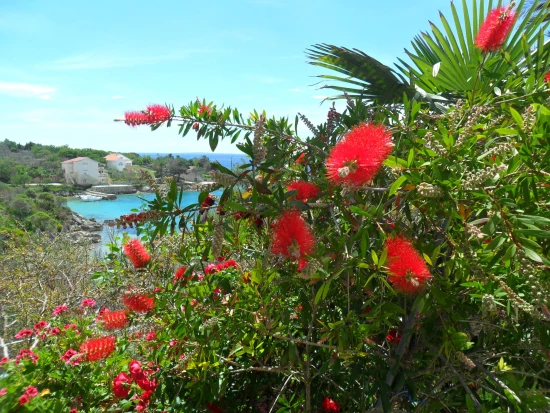 Apartmán Ostrov Pag - Potočnica OS 9176 N10