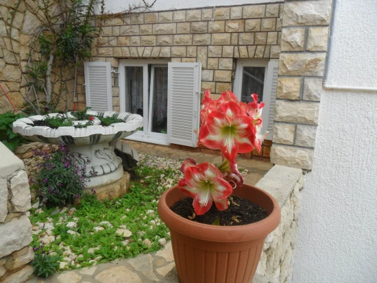 Apartmán Ostrov Pag - Potočnica OS 9177 N3