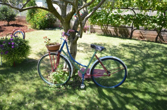 Apartmán Severní Dalmácie - Bibinje DA 7149 N1