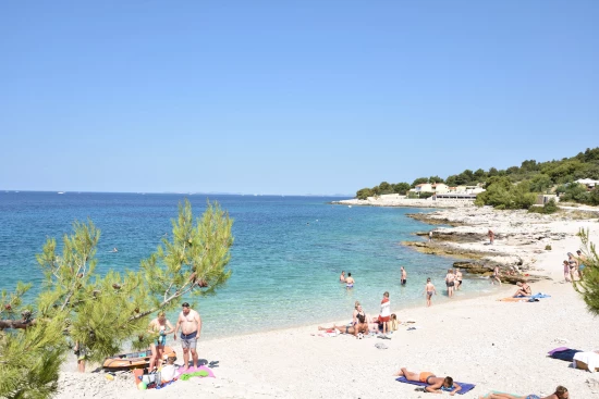 Apartmán Severní Dalmácie - Dolac (Primošten) DA 7150 N2