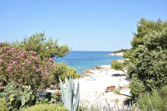 Apartmán Severní Dalmácie - Dolac (Primošten) DA 7150 N2