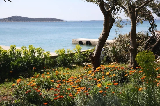 Domek Ostrov Pašman - Tkon OS 9186 N1