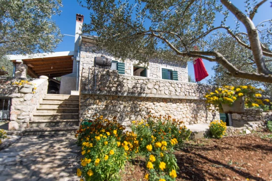 Domek Ostrov Pašman - Tkon OS 9190 N1