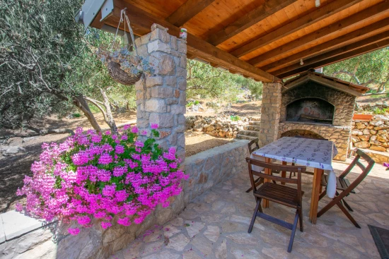 Domek Ostrov Pašman - Tkon OS 9190 N1