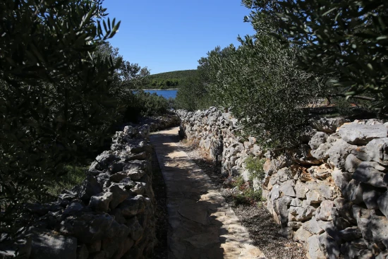 Domek Ostrov Pašman - Tkon OS 9190 N1