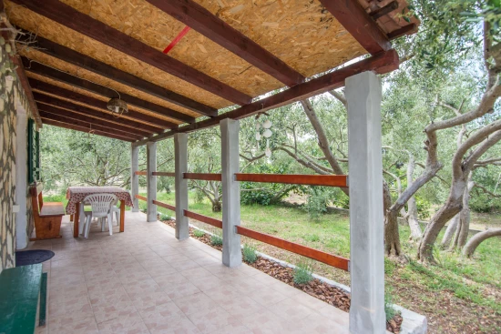 Domek Ostrov Pašman - Tkon OS 9193 N1