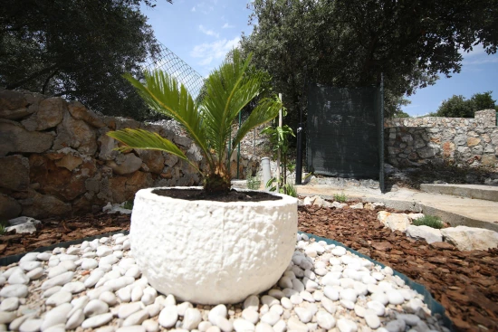 Domek Ostrov Pašman - Tkon OS 9193 N1