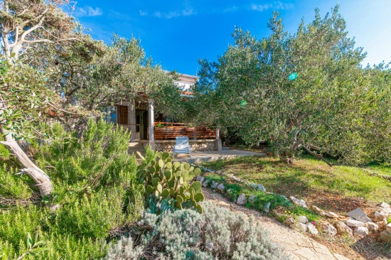 Domek Ostrov Pašman - Tkon OS 9199 N1