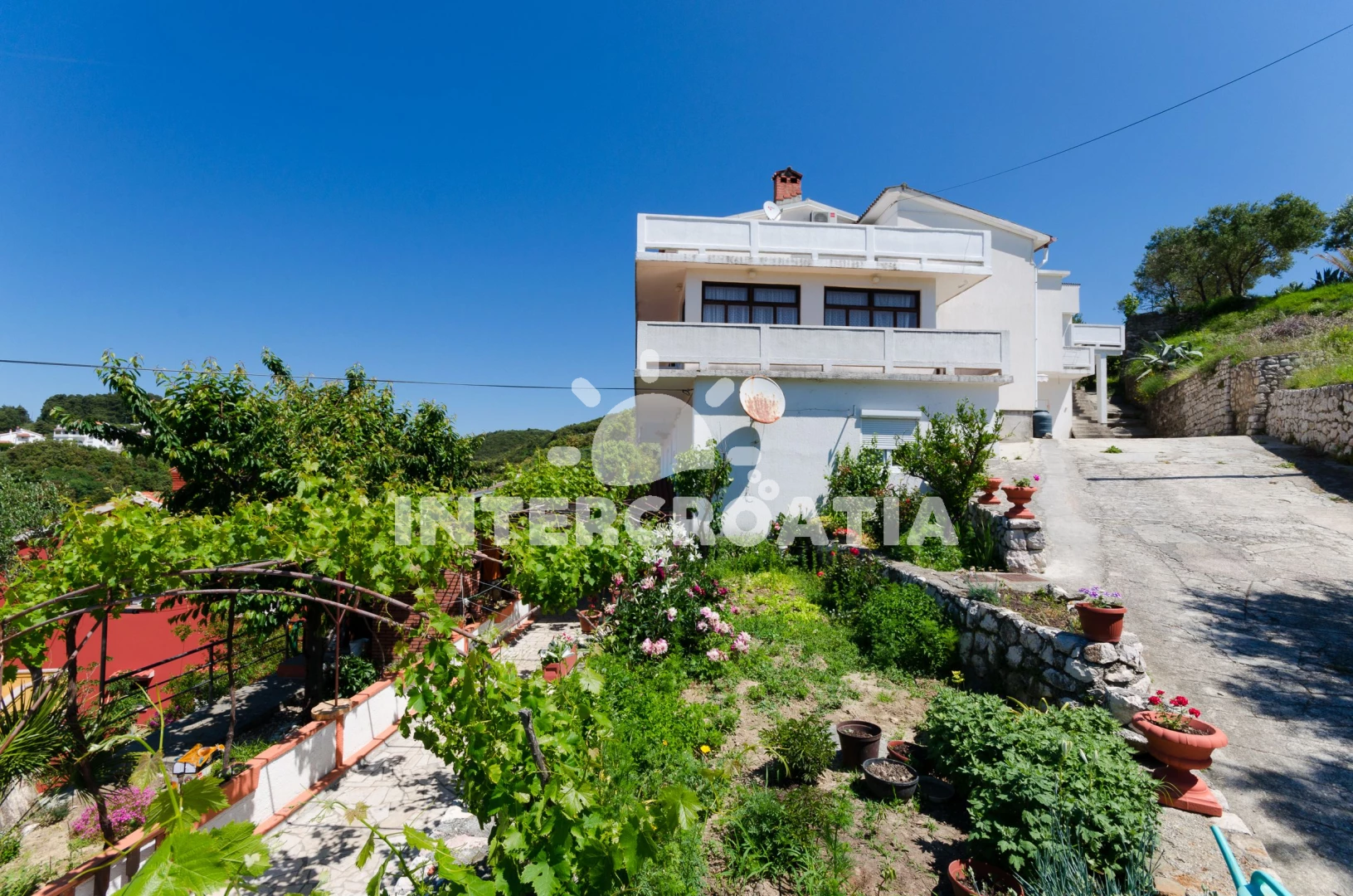 Apartmán Ostrov Rab - Kampor OS 9222 N1