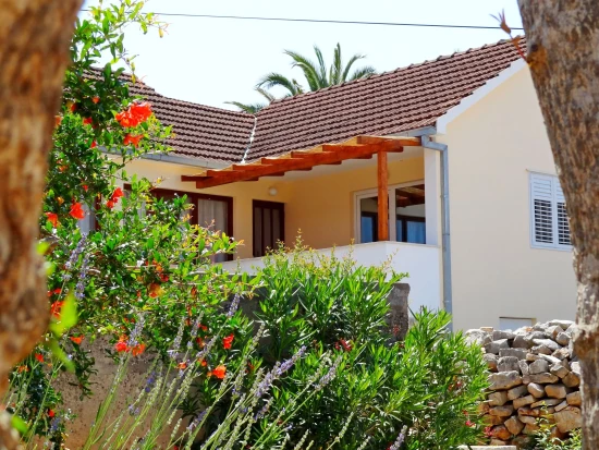 Domek Ostrov Hvar - Vrboska OS 9224 N1