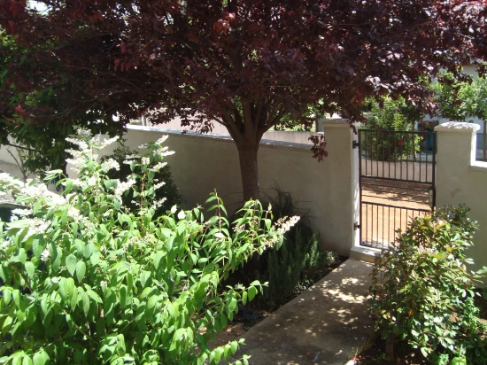 Apartmán Severní Dalmácie - Zadar DA 7166 N2