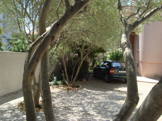 Apartmán Severní Dalmácie - Zadar DA 7166 N2