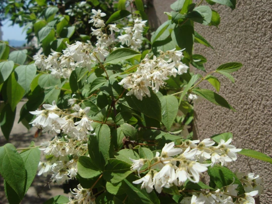 Apartmán Severní Dalmácie - Zadar DA 7166 N2