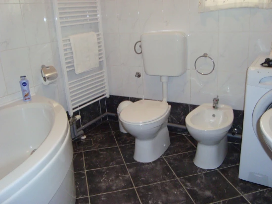 Apartmán Severní Dalmácie - Zadar DA 7166 N3