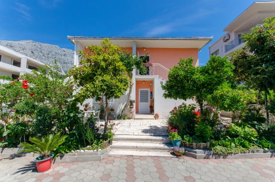 Apartmán Jižní Dalmácie - Orebić DA 7169 N1