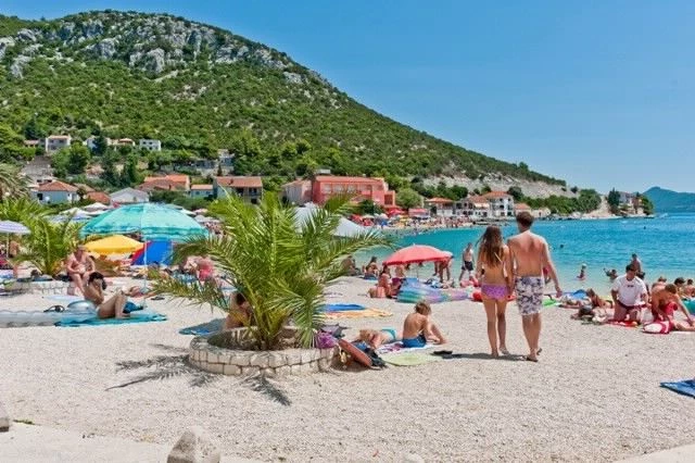 Apartmán Jižní Dalmácie - Klek DA 7173 N24