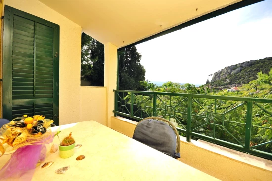 Apartmán Jižní Dalmácie - Klek DA 7173 N24