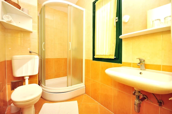 Apartmán Jižní Dalmácie - Klek DA 7173 N24