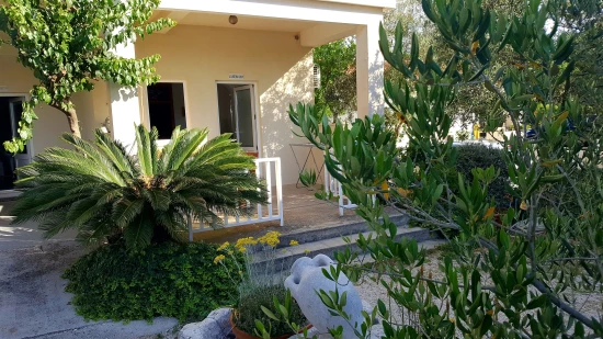 Apartmán Jižní Dalmácie - Mali Ston DA 7178 N1