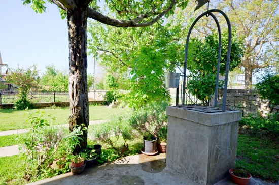 Apartmán Istrie - Sveti Petar u Šumi IS 7027 N1