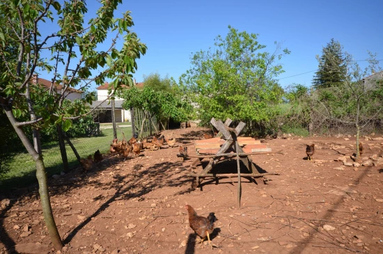 Apartmán Istrie - Sveti Petar u Šumi IS 7027 N1