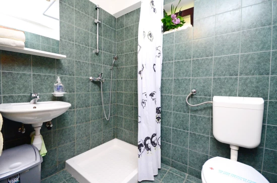 Apartmán Istrie - Sveti Petar u Šumi IS 7027 N1
