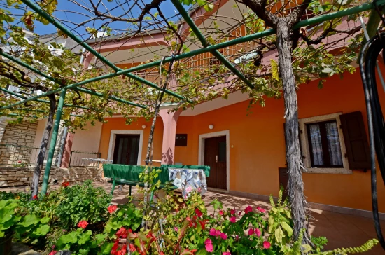 Domek Istrie - Barbariga IS 7028 N1