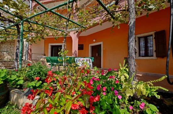 Domek Istrie - Barbariga IS 7028 N1