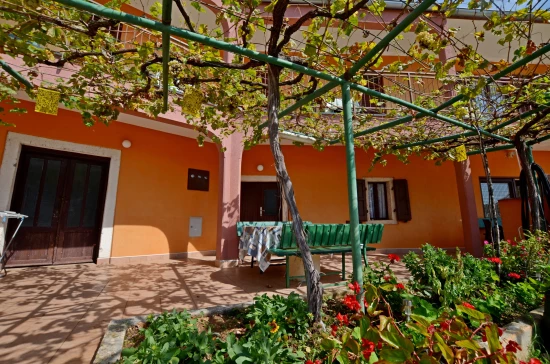 Domek Istrie - Barbariga IS 7028 N1