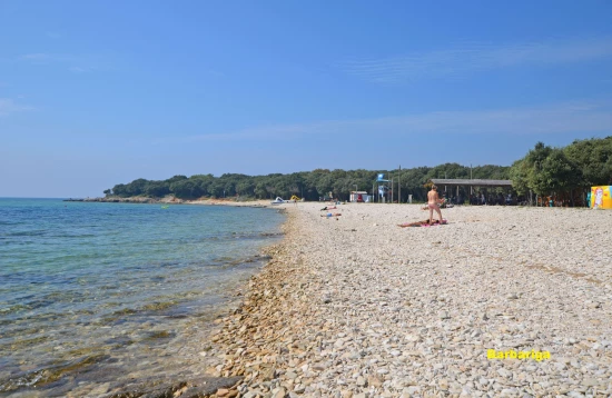 Domek Istrie - Barbariga IS 7028 N1