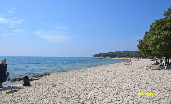 Domek Istrie - Barbariga IS 7028 N1