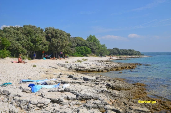 Domek Istrie - Barbariga IS 7028 N1