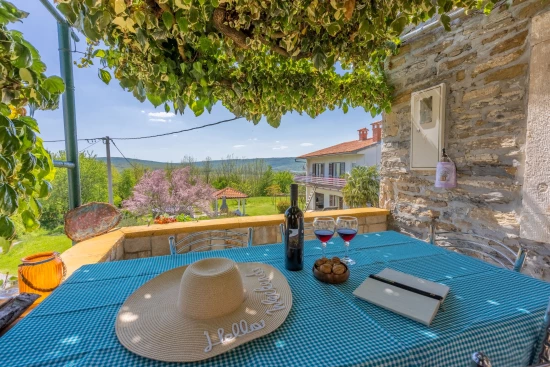 Domek Istrie - Čepić IS 7030 N1