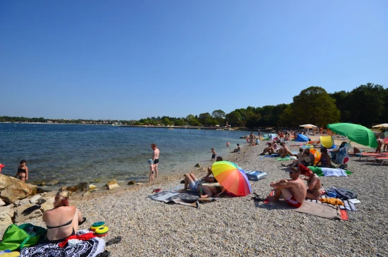 Apartmán Istrie - Poreč IS 7031 N1