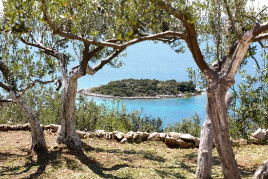 Domek Ostrov Pašman - Tkon OS 9250 N1