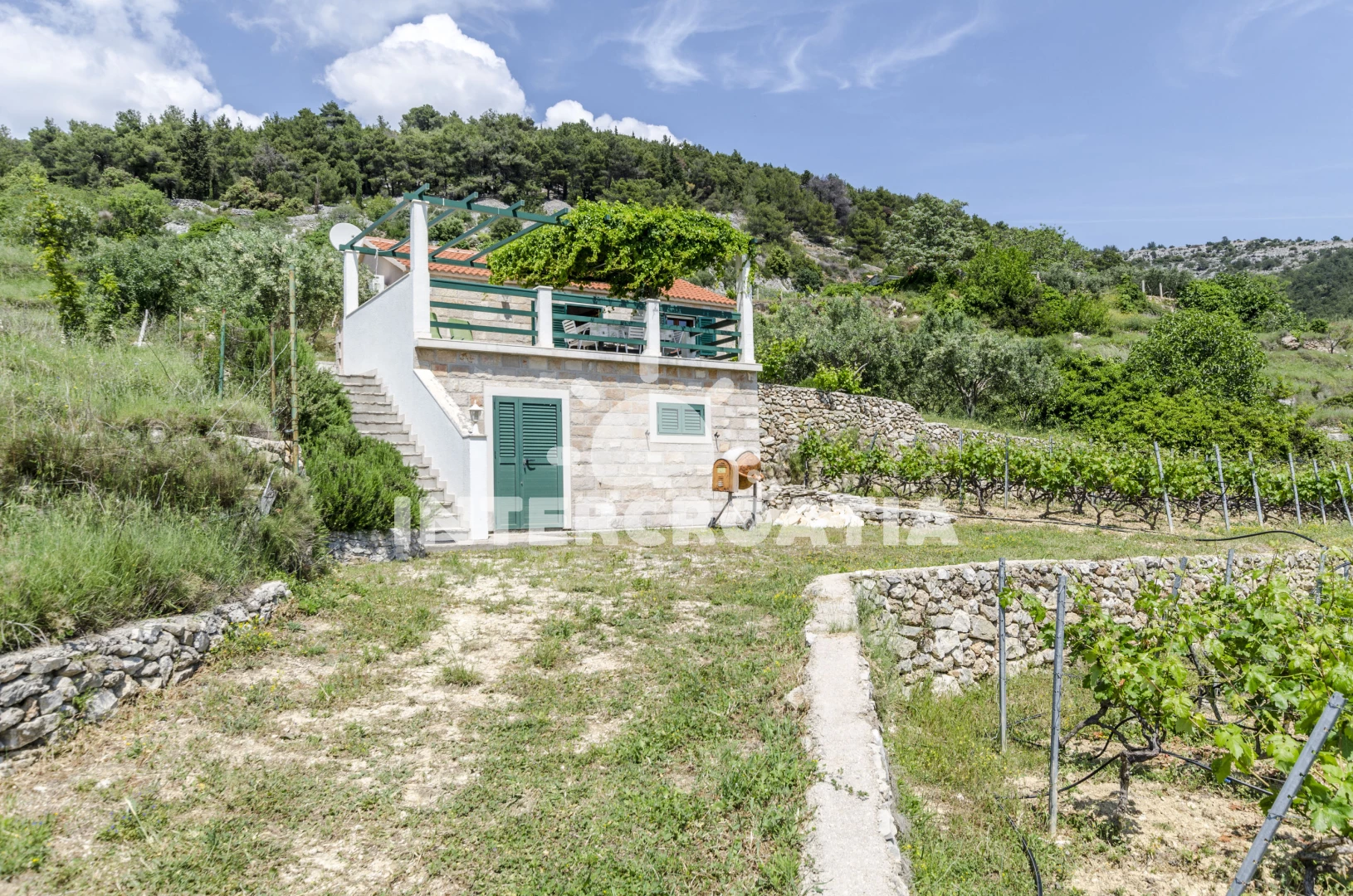 Domek Ostrov Brač - Bol OS 9281 N1