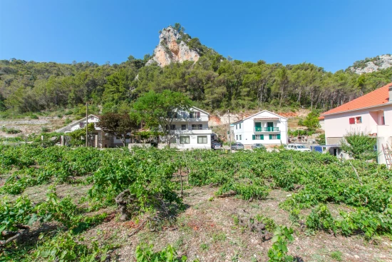 Apartmán Ostrov Hvar - Zastražišće OS 9286 N1