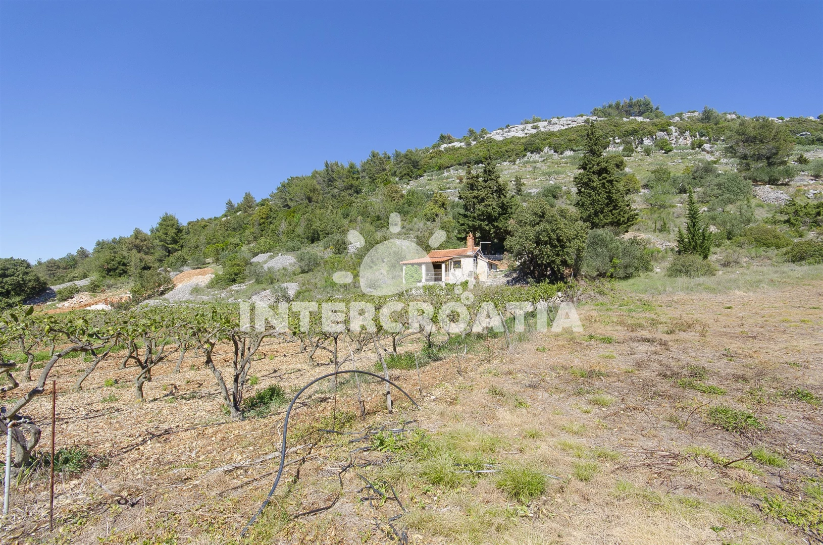 Domek Ostrov Brač - Postira OS 9290 N1