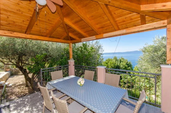 Domek Střední Dalmácie - Podgora DA 7249 N1