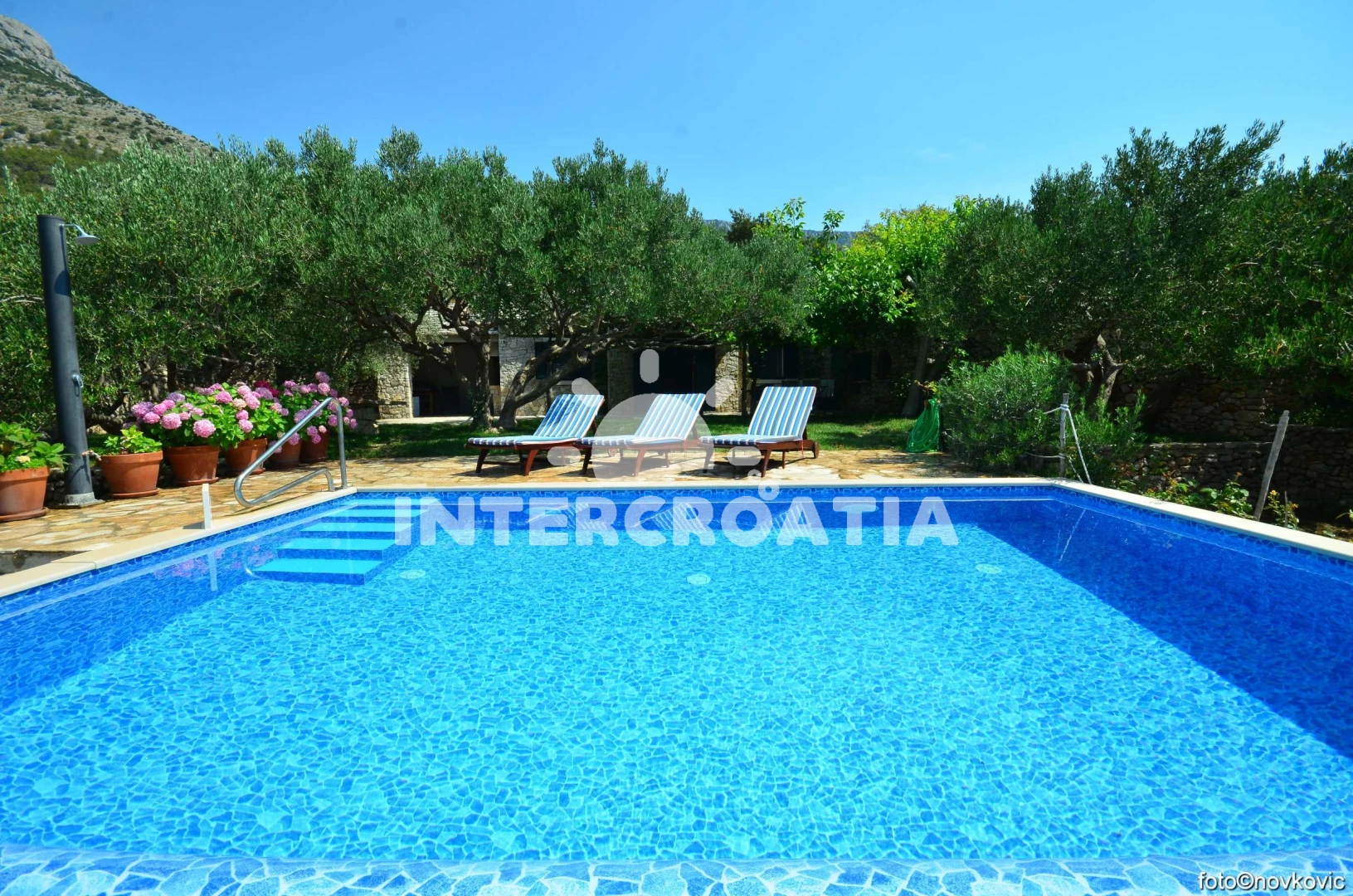 Domek Ostrov Brač - Bol OS 9294 N1