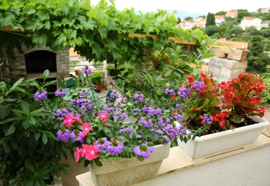 Apartmán Ostrov Brač - Splitska OS 9296 N1